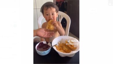Photo of Aventuras de bebê japonês no Pará viraliza na web