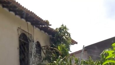 Photo of Árvore cai e atinge duas casas em Belém