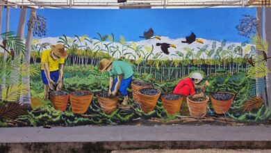 Photo of Artistas do Arte em Cores produzem murais em cidades do Pará