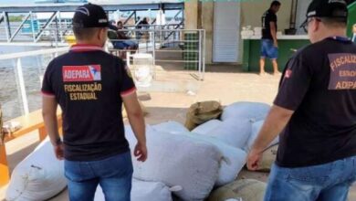 Photo of Fiscais da Adepará apreenderam 125 sacas de amêndoas vindas do Amazonas