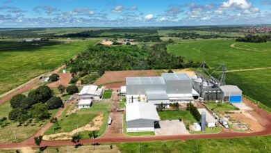 Photo of Paragominas ganha indústria de ração com geração de 500 empregos