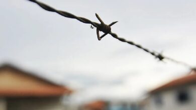 Photo of Amazônia é palco de quase metade dos conflitos no campo no Brasil em 2023, com o Pará liderando a violência, revela relatório da CPT