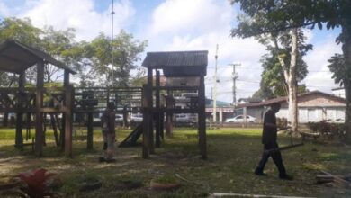 Photo of Play do Parque Seringal passará por revitalização