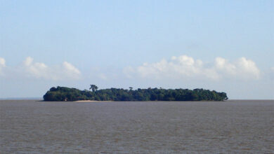 Photo of Observatório em ilha de Belém ajuda a monitorar anomalia magnética no Sul e Sudeste do Brasil