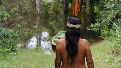 Photo of Starlink na Amazônia deixa indígenas sedentários e viciados em pornô