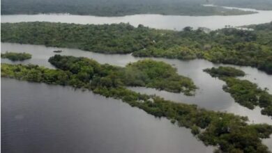 Photo of Coca-Cola investirá R$ 4 milhões em projetos socioambientais no Pará e Amazonas
