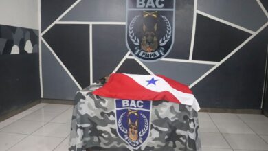 Photo of Cadela policial recebe homenagem fúnebre da PM no Pará: “Super Lola”
