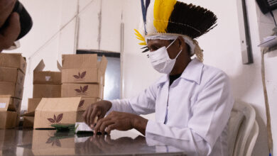 Photo of Indígenas do Xingu lançam seus chocolates no festival internacional do setor em Altamira