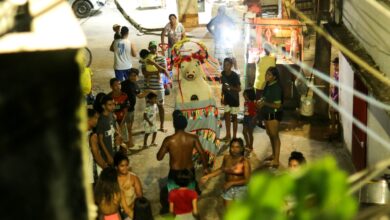 Photo of Boi-Bumbá Flor da Juventude inicia cortejos pelas ruas de Belém neste sábado (8)