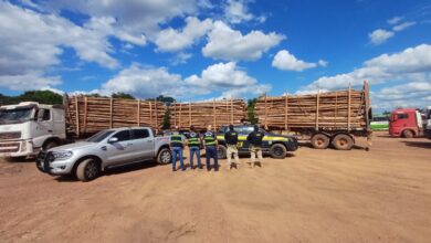 Photo of PRF apreende 89 m³ de madeira ilegal em Dom Eliseu