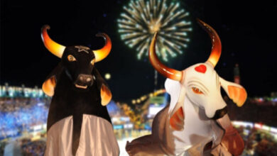 Photo of TV Globo cancela transmissão do Festival de Parintins