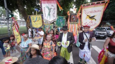 Photo of Pássaros Juninos e Cordões de Pássaros e de Bichos se apresentam no Teatro Waldemar Henrique