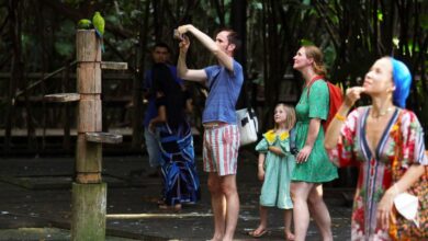 Photo of Mangal das Garças abre todos os dias de julho com diversão nas férias escolares