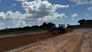 Photo of TransMarajó começa receber asfalto; obra vai ligar o Marajó a Belém