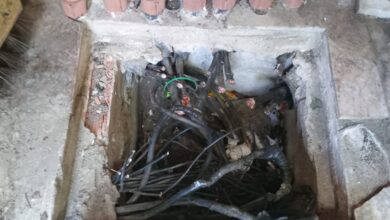 Photo of Diretoria da Festa de Nazaré lamenta aumento de crimes nas proximidades da Basílica Santuário de Nazaré