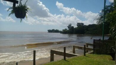 Photo of Veja quais praias estão reprovadas para banho em Belém