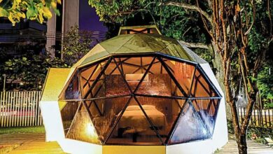 Photo of Belém terá domos de açaí para hospedagem na COP30