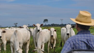 Photo of Saiba quem são os 10 candidatos mais ricos do Pará