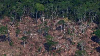 Photo of AGU pede R$ 635 milhões por destruição de floresta e dano climático no Pará