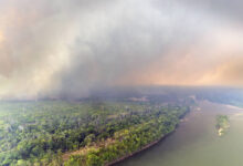 Photo of Pará recebe G20 do Turismo em meio a crise ambiental e queimadas recordes