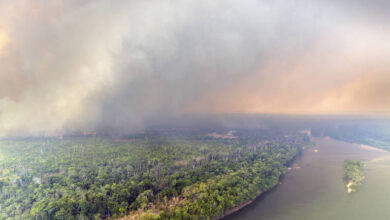 Photo of Pará recebe G20 do Turismo em meio a crise ambiental e queimadas recordes