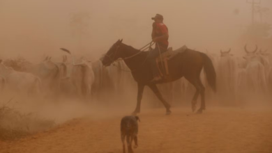 Photo of Recorde de incêndios no Pará muda paisagem e expulsa moradores: “Sempre tem fumaça, mas não como agora”