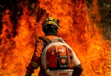 Photo of Incêndios ameaçam ambição climática do Brasil e colocam COP30 de Belém sob risco