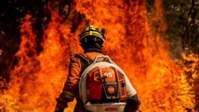 Photo of Incêndios ameaçam ambição climática do Brasil e colocam COP30 de Belém sob risco