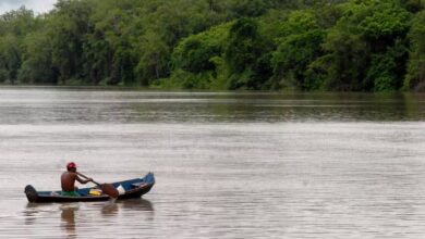 Photo of Agência Nacional das Águas declara situação crítica de escassez hídrica no rio Tapajós, no Pará