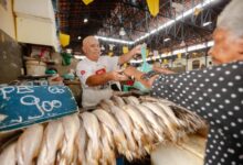 Photo of EUA flexibilizam regras para compra de pescado brasileiro; Pará lidera exportações