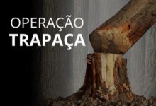 Photo of Investigações com atuação do MPF resultam em operação da PF contra fraudes em crédito rural