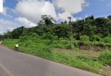 Photo of Área de mata com fontes minerais é invadida na estrada da Maracacuera, em Belém