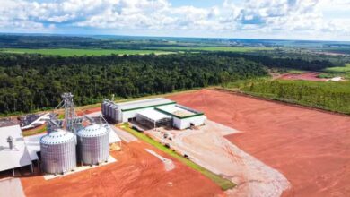 Photo of Coopernorte inicia produção de derivados de milho no Pará