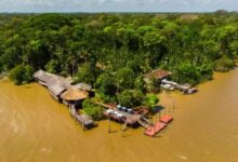 Photo of Ilha do Combu desponta como um dos destinos mais procurados de Belém, superando Estação das Docas e Ver-o-Peso em buscas no Google