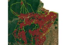 Photo of MPF alerta para queimadas no Pará enquanto autoridades paraenses discursam na COP-29