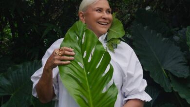 Photo of As pessoas se apropriam da Amazônia e não ajudam, diz Fafá de Belém