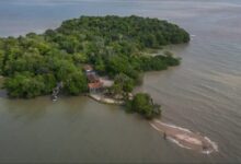 Photo of Ilha de Tatuoca, em Outeiro, ajuda a desvendar campo magnético da Terra