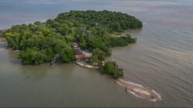 Photo of Ilha de Tatuoca, em Outeiro, ajuda a desvendar campo magnético da Terra