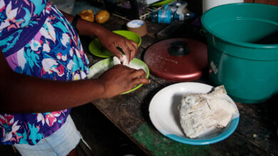 Photo of Pará lidera ranking de insegurança alimentar no Brasil