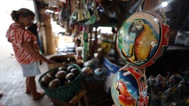 Photo of Abertura de MEIs cresce no Pará impulsionada pela COP 30 em Belém