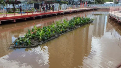 Photo of Canal da Doca começa a receber tecnologia sustentável para tirar odor do esgoto