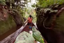 Photo of Médico paraense viraliza ao mostrar percurso até terra indígena Zo’é. Veja vídeo