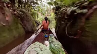 Photo of Médico paraense viraliza ao mostrar percurso até terra indígena Zo’é. Veja vídeo