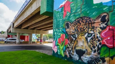 Photo of Viadutos da Grande Belém recebem grafites que destacam a biodiversidade amazônica