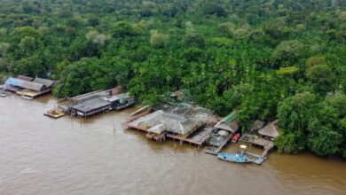 Photo of COP30: população da Ilha do Combu enfrenta desafios por água potável e saneamento