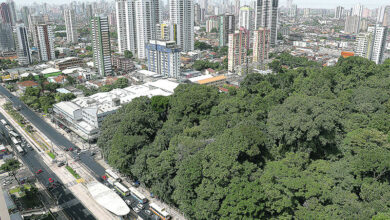 Photo of Belém terá 200 mil novas árvores com plano de arborização lançado no Dia do Meio Ambiente