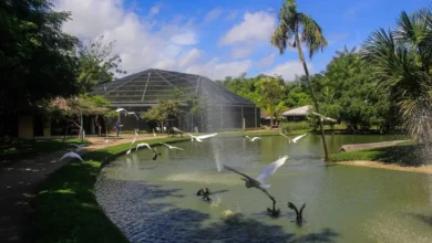 Photo of Belém lidera ranking de destinos emergentes do turismo no Brasil