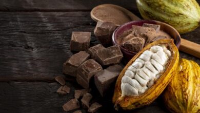 Photo of EUA avaliam retirada de tarifas sobre produtos tropicais, e Pará vê impacto potencial nas exportações