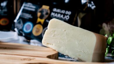 Photo of Queijo do Marajó recebe medalha de ouro e eleva produção artesanal do Pará ao topo nacional