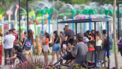 Photo of Parque da Cidade conquista paraenses e recebe meio milhão de visitantes em menos de um mês